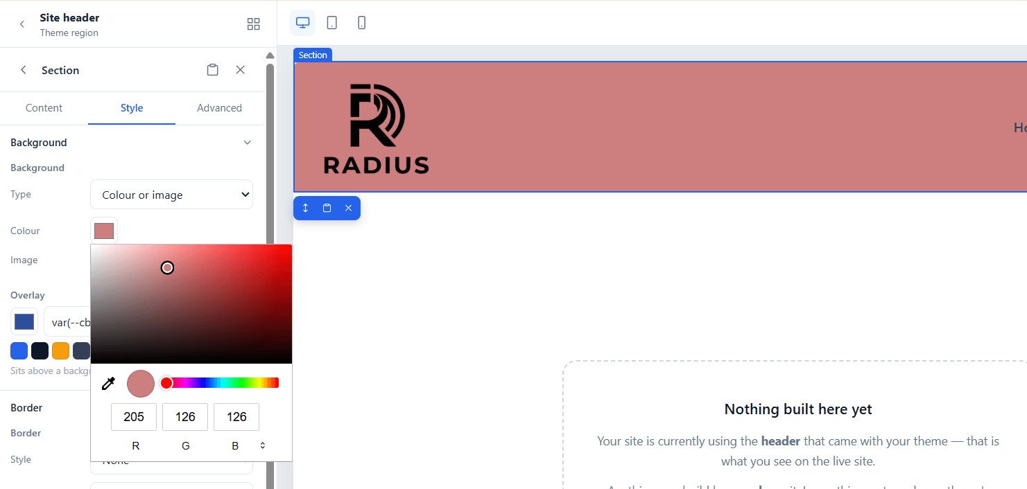 The design token palette in the builder, showing named colour swatches